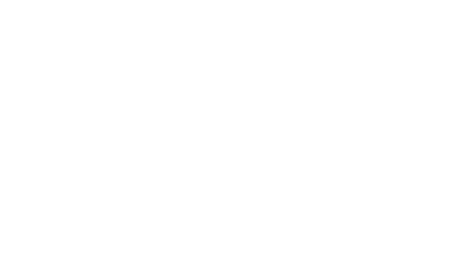 Bridges & Allies Real Estate 로고